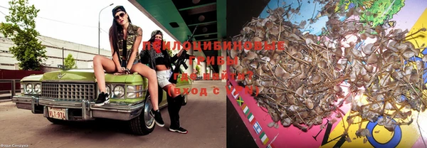 прущий лед Туринск