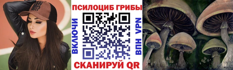 Псилоцибиновые грибы GOLDEN TEACHER  Купить где  Урень 